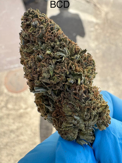 BCD Premium Hemp Flower by the QP