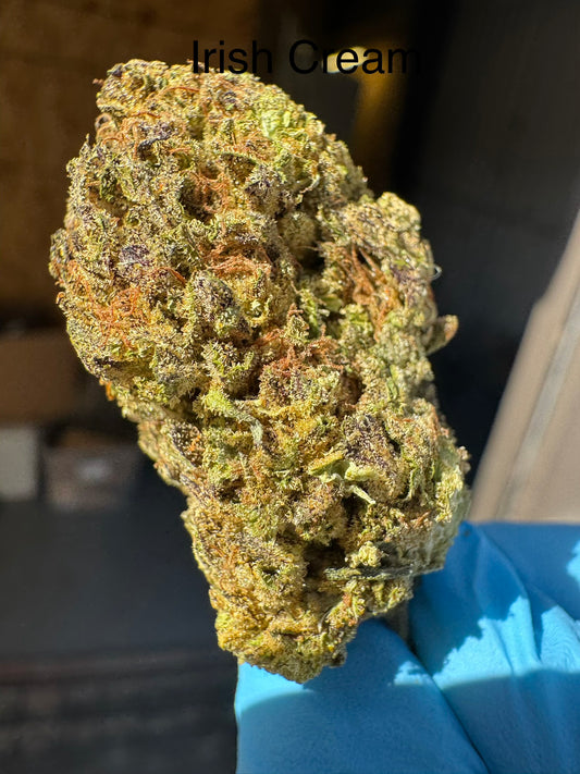 Irish Cream Exotic Hemp Flower by the QP