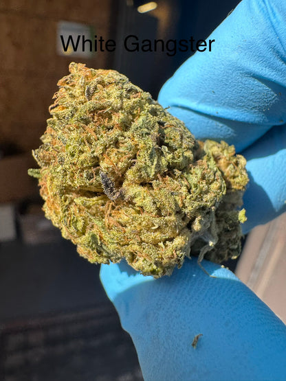 White Gangster Top Shelf Hemp Flower by the QP