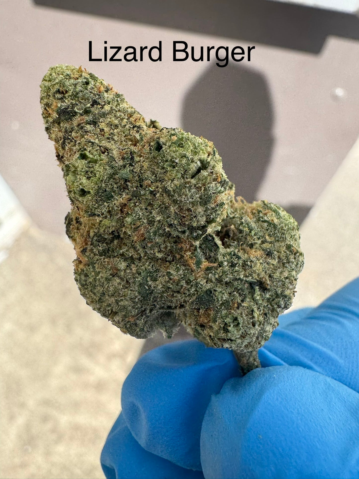 Lizard Burger "RARE" exotic Hemp Flower by the QP