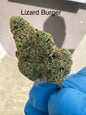 Lizard Burger "RARE" exotic Hemp Flower by the QP