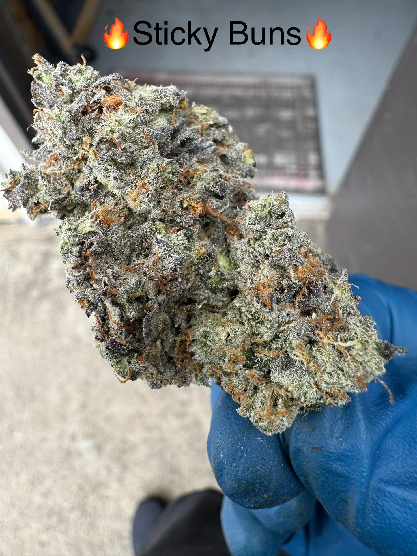 Stickybuns Exotic Hemp Flower by the QP