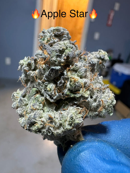 Apple Star Exotic Hemp Flower by the QP