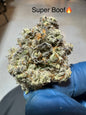 Super Boof Exotic Hydro Hemp Flower by the QP