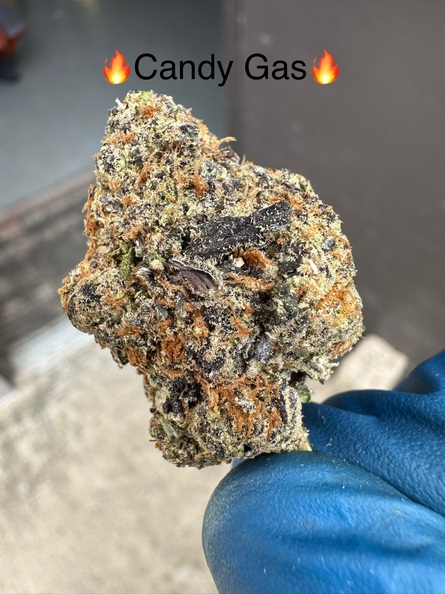 Candy Gas Top Shelf  Exotic Hemp Flower by the QP