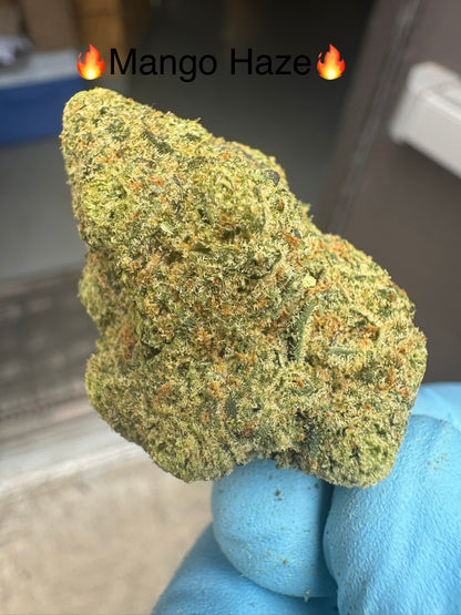 Mango Haze Super Loud Exotics Hemp Flower by the QP