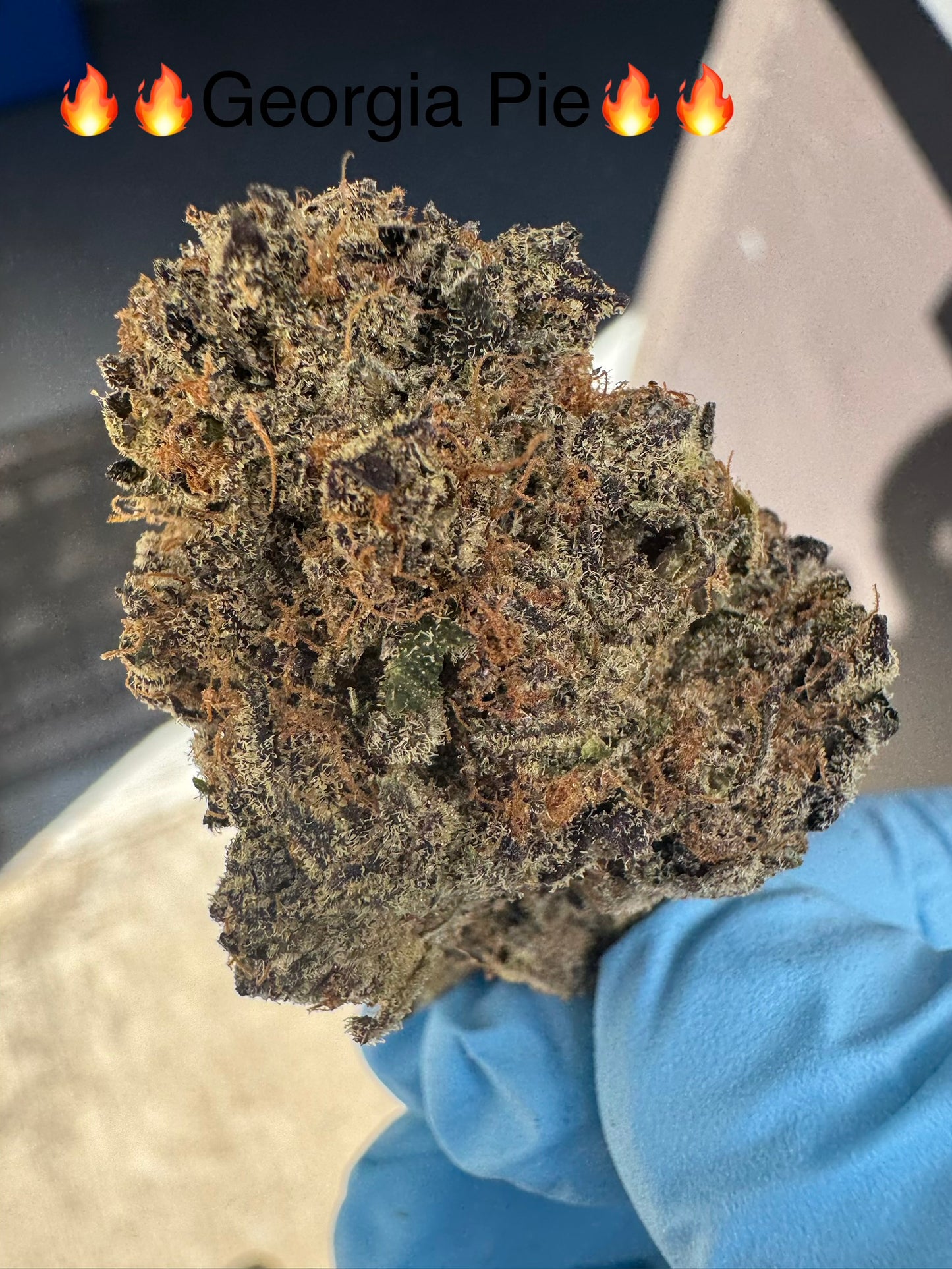 Georgia Pie Super Fire Hemp Flower by the QP