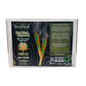 Gifted - THC-A Pre-Rolls 50ct - NYC Diesel (Hybrid)