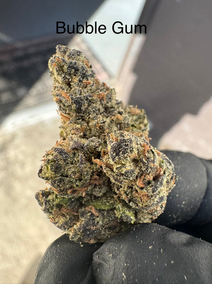 Bubble Gum exotic hemp flower