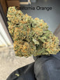 California Orange super premium hemp flower QP