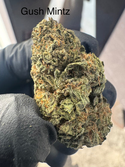 GUSH MINTZ (Indica/hybrid) Top Shelf Flower by the QP