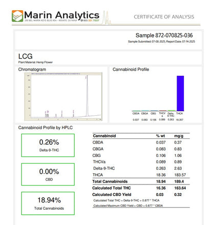 Wholesale Flower by the QP Hybrid