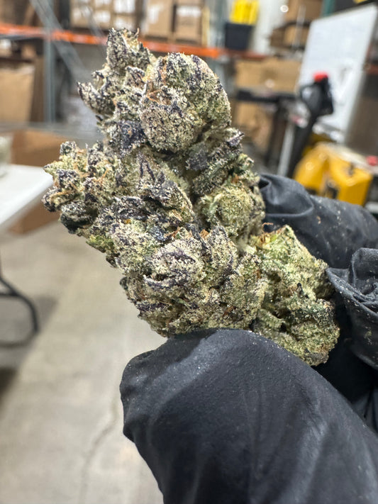 Wholesale Flower by the QP Indica