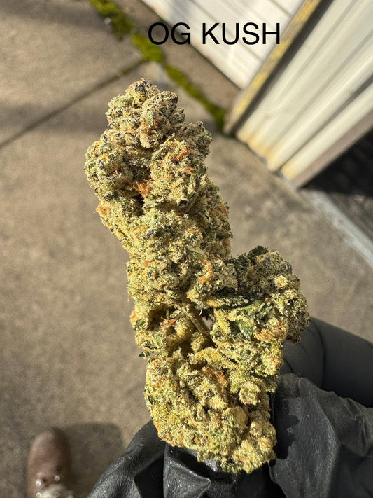 OG Kush Premium Hemp Flower by the QP