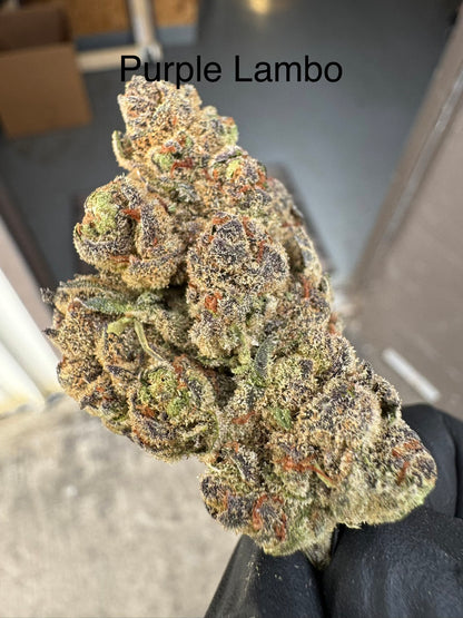 PURPLE LAMBO "Rare" Exotic Hemp Flower QP