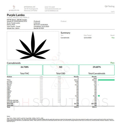 PURPLE LAMBO "Rare" Exotic Hemp Flower QP