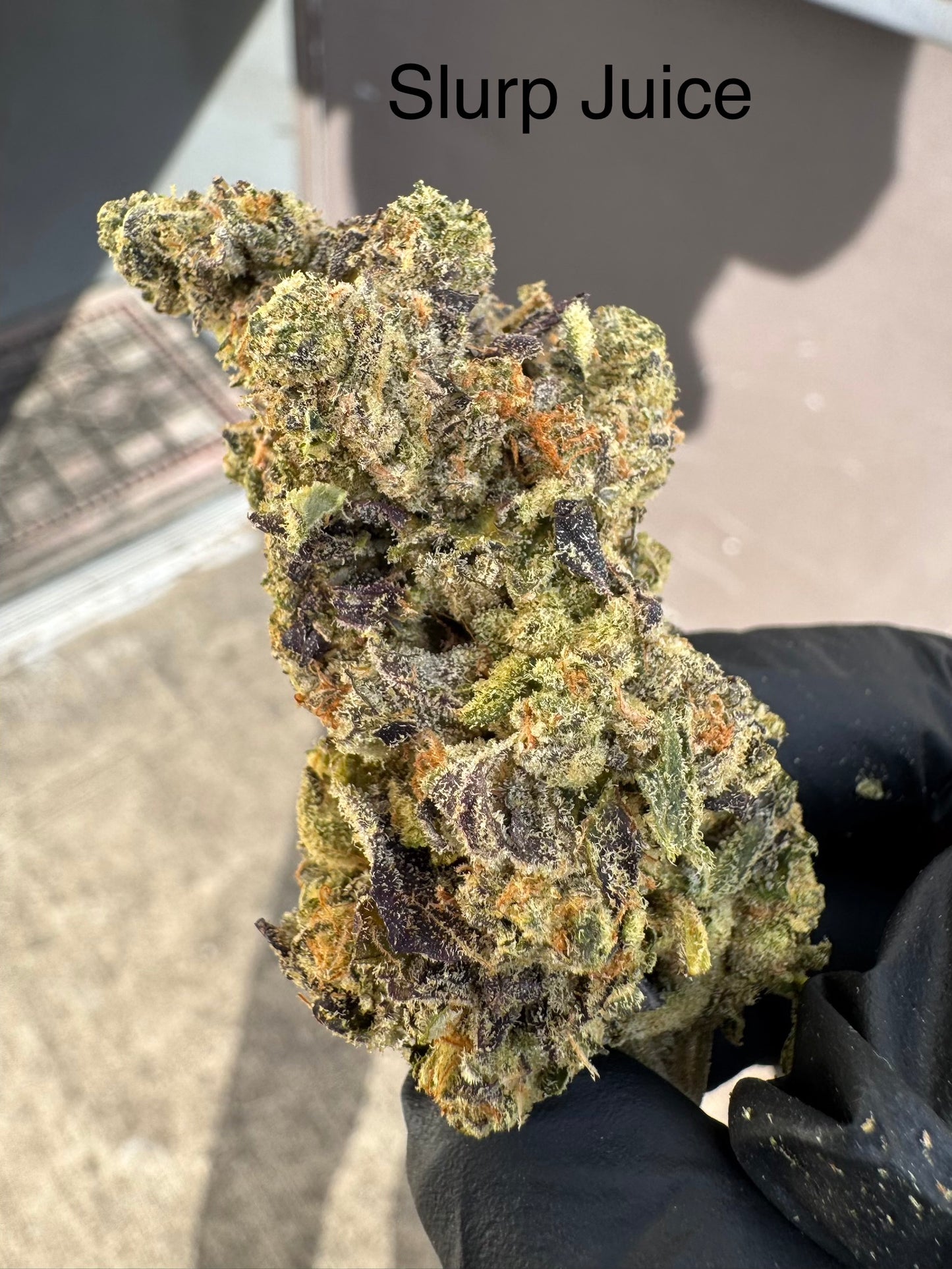 Slurp Juice top shelf hemp flower by the QP