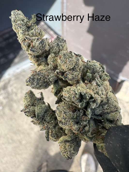 Strawberry Haze Super Sativa Exotic Hemp Flower "Rare" QP