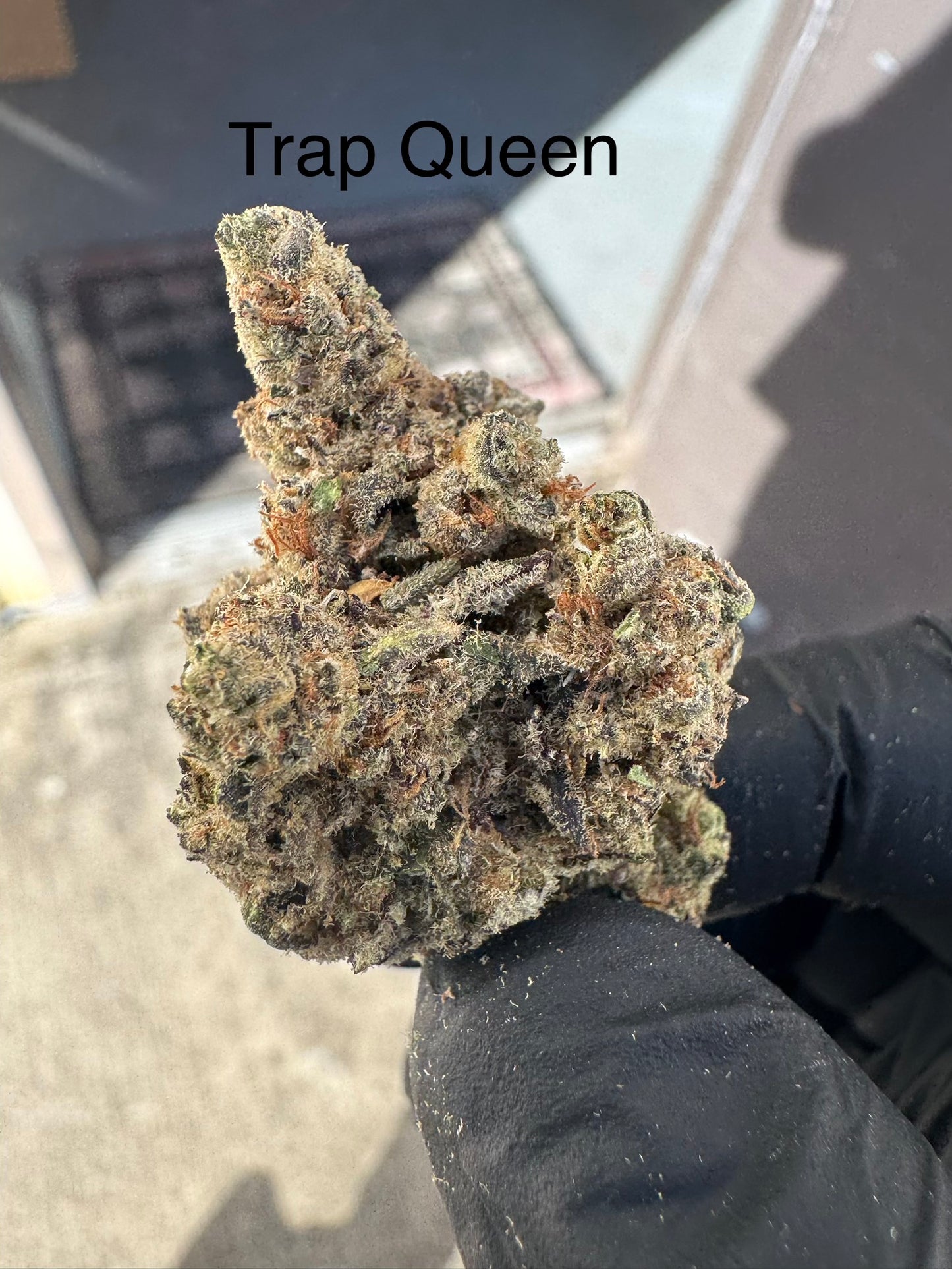 Trap Queen Exotic Hemp Flower QP