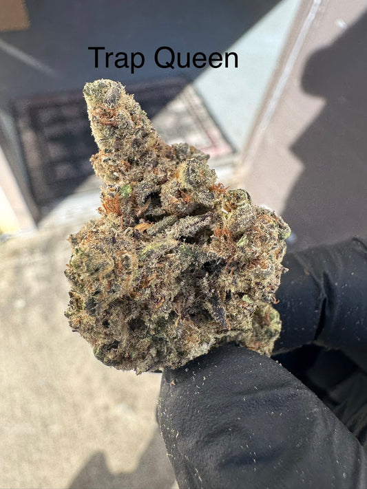 Trap Queen Exotic Hemp Flower QP