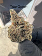 Trap Queen Exotic Hemp Flower QP