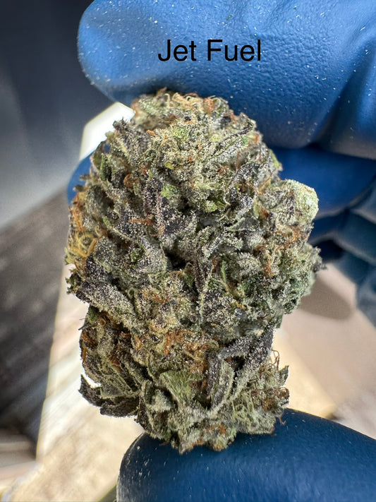 Fresh Harvested Jet Fuel Hemp Flower by the QP