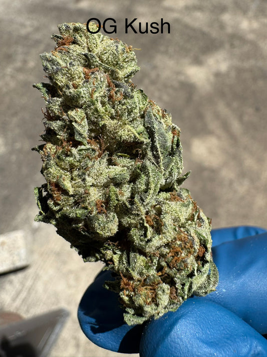 Fresh Harvest OG Kush Hemp Flower by the QP