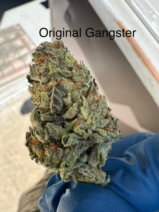 Fresh Harvest Original Gangster Hemp Flower by the QP