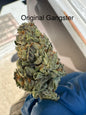 Fresh Harvest Original Gangster Hemp Flower by the QP