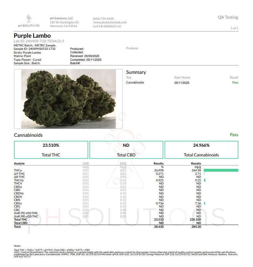 Wholesale Flower by the QP PURPLE LAMBO