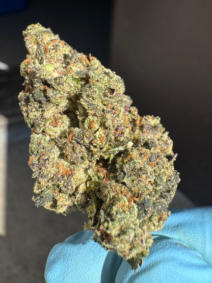 Purple Pie Exotic Hemp Flower by the QP