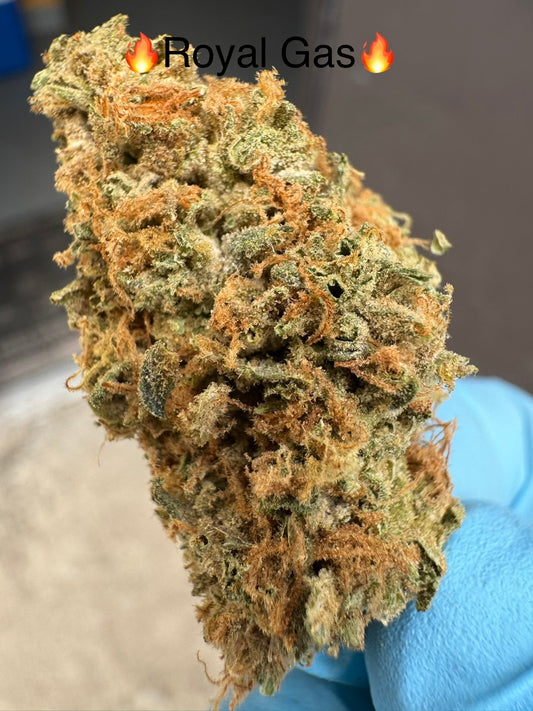 Royal Gas Exotic Hemp Flower by the QP