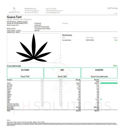 Guava Tart Exotic Hemp Flower by the QP