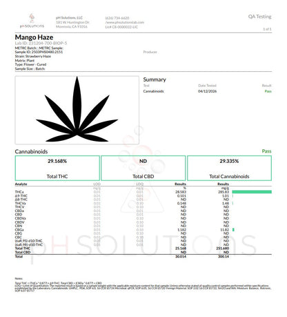 Mango Haze Super Loud Exotics Hemp Flower by the QP