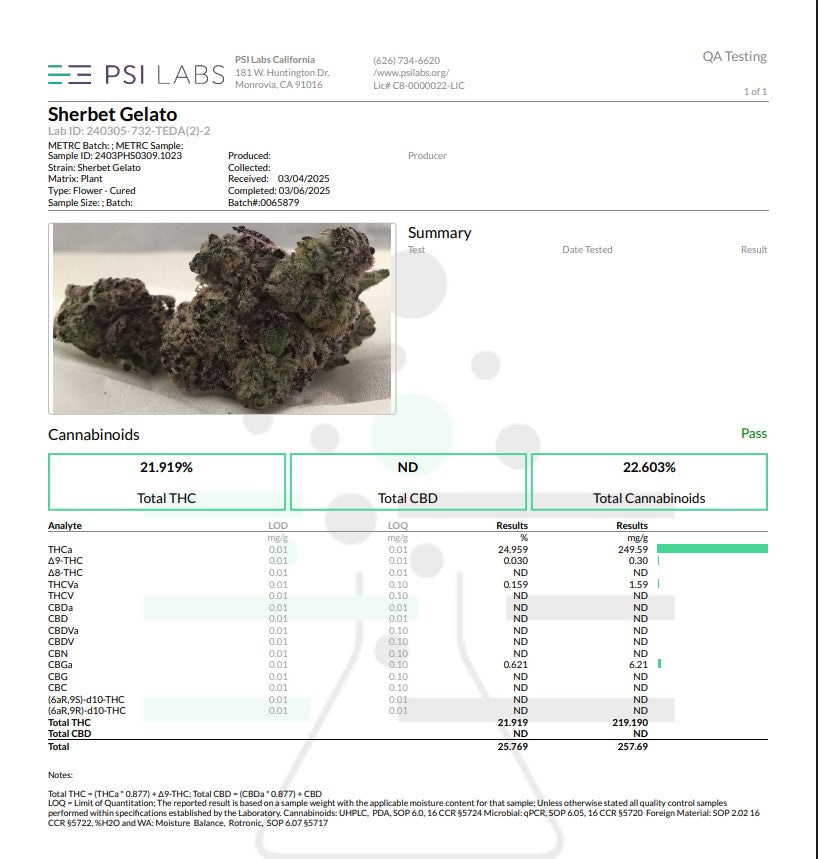 Wholesale Flower by the QP SHERBET GELATO