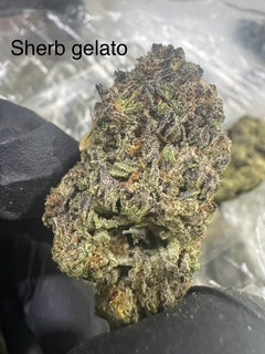 SHERBET GELATO (Hybrid) Top Shelf Flower 5 Gram