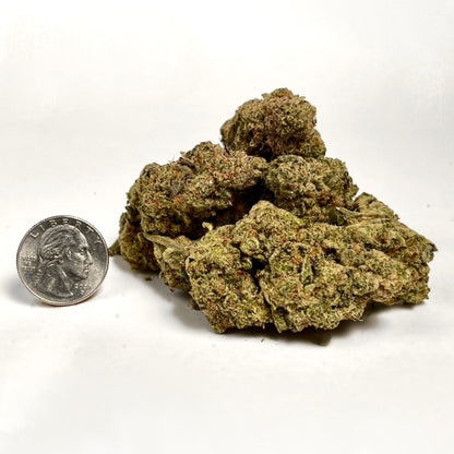 Wholesale Flower by Weight - Variety Pack (2lbs total)