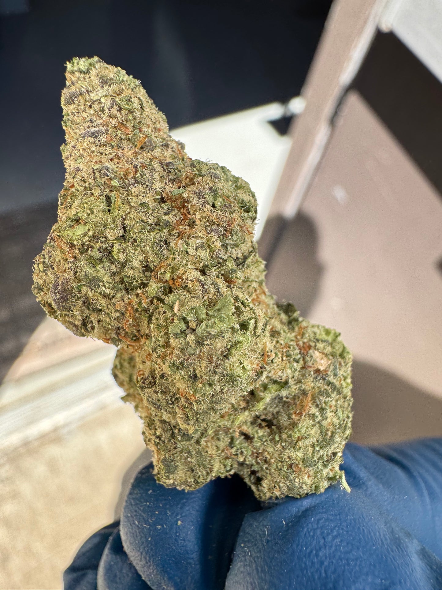 Space Jam Super Premium Hemp Flower by the QP