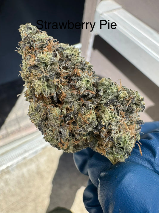 Fresh Harvest Strawberry Pie Hemp Flower by the QP