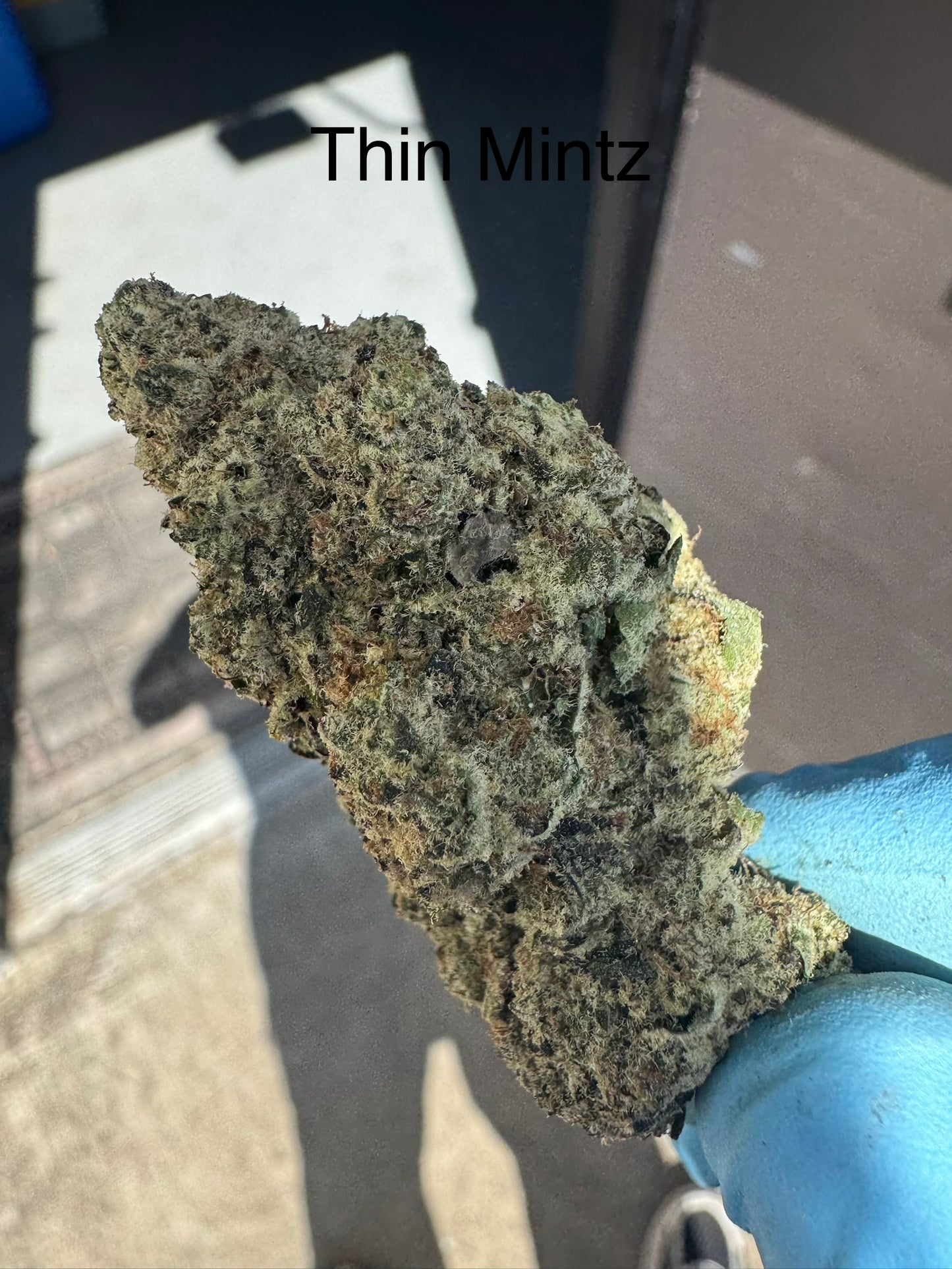 Thin Mintz Ultra Premium Hemp flower by the QP