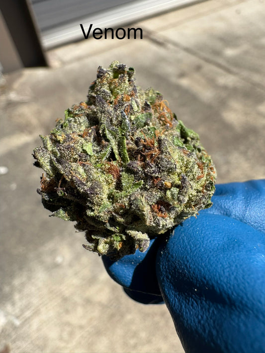 Fresh Harvest Venom Hemp Flower by the QP