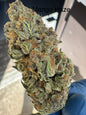 Fresh Harvested Mango Haze Hemp Flower by the QP